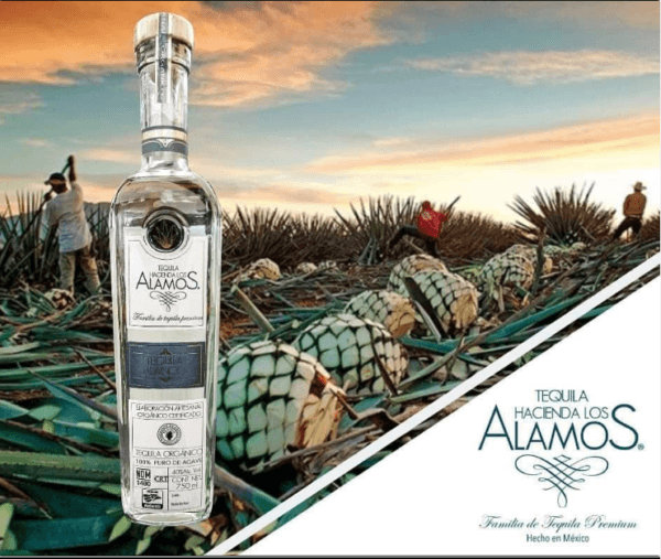 Tequila Blanco - Image 3